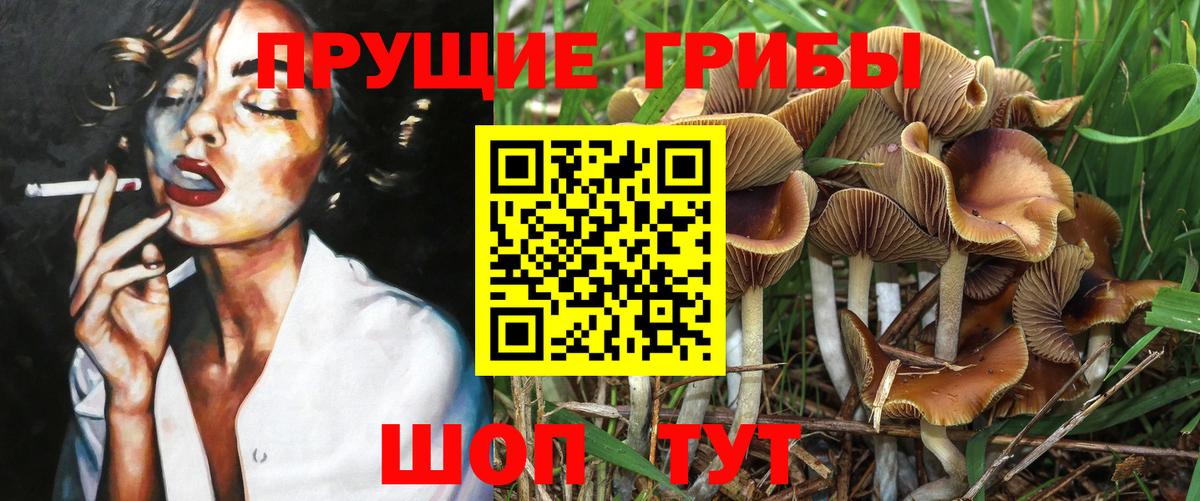 Псилоцибиновые грибы мицелий  Галлюциногенные грибы GOLDEN TEACHER  Вход с VPN  купить   Асино 
